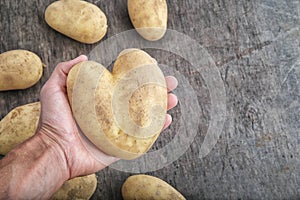 Big potato in shape of heart in farmer hand on rustic wooden table, food dishes for valentine`s day, copy space