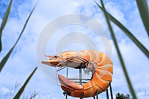 The Big Prawn, Ballina, New South Wales, Australia