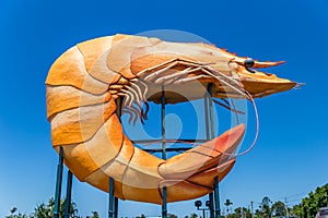 Big Prawn Sculpture and Tourist Attraction of Ballina, New South Wales, Australia