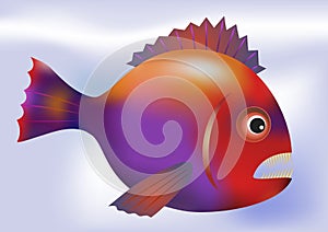 Big predatory fish - vector