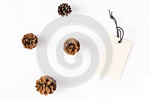 Big price tag with pine cones on white background