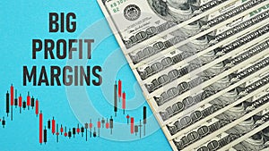 Big Profit Margins is shown using the text