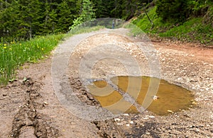 Big puddle on rut road after rain in forest