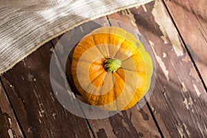 Big Pumpkin in an autumn country fair