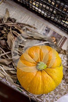 Big Pumpkin in an autumn country fair