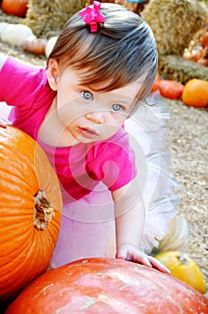 Big Pumpkin and Baby