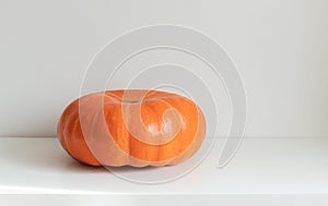 Big pumpkin on a white background. Autumn or Thanksgiving day concept. Space for text