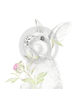 Big Rabbit. Pencil Draw with watercolor floral dÃÂ©cor. Forest animal photo