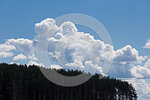 Big rain clouds in bright sunlights over a green forest