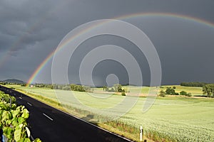 big rainbow across green grain fields