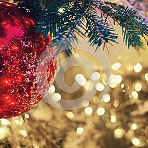 Big red ball on a snow covered branch christmas tree, copy space