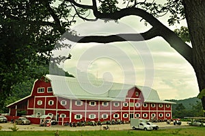Big red barn with mountain