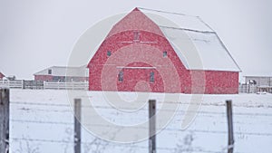 Big red barn in winter during a snow storm with wood fence posts