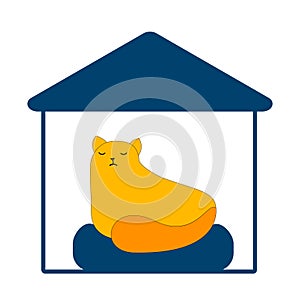 Big red cat on a pillow in the blue cats house. Flat style vector illustration