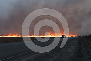 Big red fire in the dry grass field