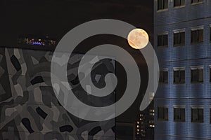Big reed full moon between buildings in a city photo