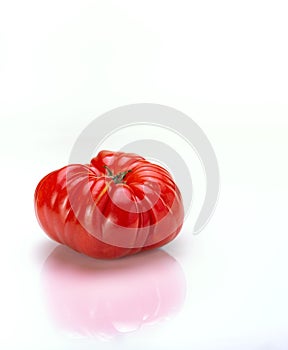 Big Red Heirloom Tomatoe on White Backdrop