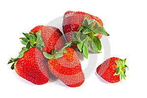 Big red juicy rich strawberries with pedicle photo