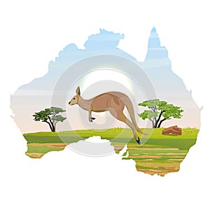 Big red kangaroos is jumping on Australian plain. Wild nature of Australia. Realistic vector landscape in the form of a map of the
