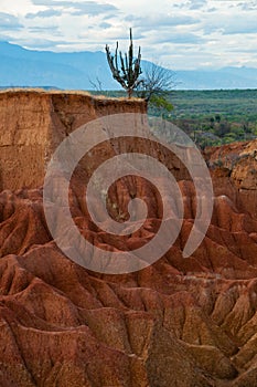 Big red sand stone cliff dry hot tatacoa desert