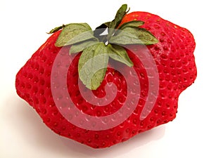 Big Red Strawberry