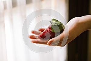 Big red strawberry in a hand, Copy space