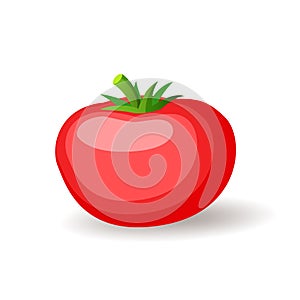 Big red tomatoe icon isolated, fresh vegetables, organic healthy food, vector illustration.