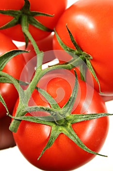 Big Red Vine Ripened Tomato photo