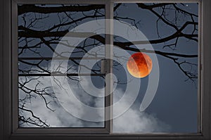 Big red wolf moon behind black branches in window view