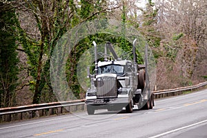 Big rig semi truck for transportation of logs moves to the place photo