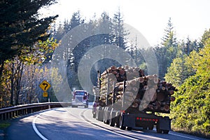 Big rig semi truck with bunch of logs on curving road