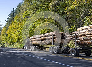 Big rig semi truck transporting big logs on two semi trailers dr