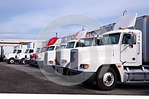 Big rig semi trucks different makes and models standing in row o