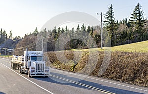 Big rig white classic semi truck with powerful grille guard transporting lumber wood on flat bed semi trailer driving on the road