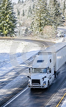 Big rig white semi truck transporting goods in dry van semi trailer driving on the turning winter snowy highway with trees on the