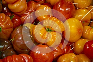 Big ripe french tomatoes, food background