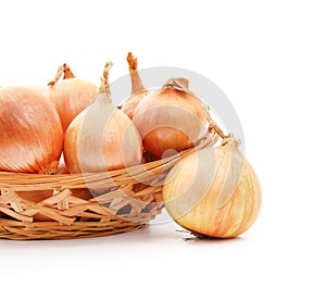 Big ripe onions in a basket