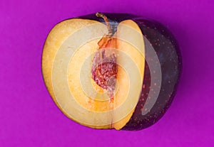 Big ripe organic purple plum with cut out segment on ultra violet background. Yellow flesh pit close up. Creative minimalist