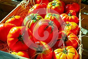 Big ripe red organic salad tomaten on market in Provence, France