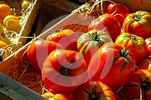 Big ripe red organic salad tomaten on market in Provence, France