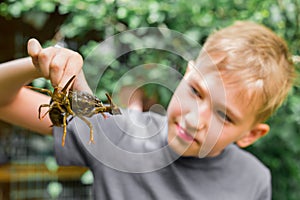 Big river crab in the hand of a boy - river catch