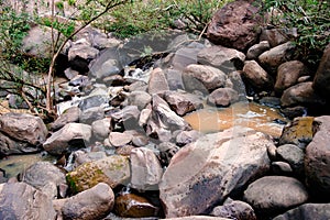 A big rock in the forest. Water flowing through the rock. Water source from the forest.