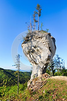 Big rock with name Budzogan in Slovakia