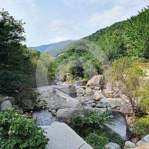 Big rocks in the river.