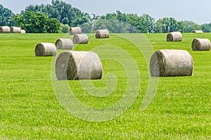 Big round hay bails on a midwest farm.