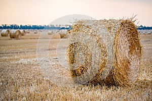 Big round haystacks on field in countryside
