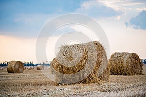 Big round haystacks on field in countryside