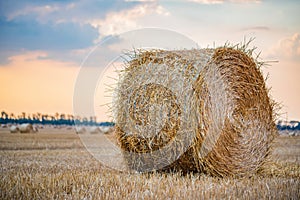 Big round haystacks on field in countryside