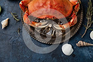 Big round metal black plate with cooked king crab served with ice cube. rosemary and seashells on dark blue background. Seafood