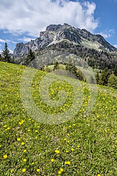 Big Rozsutec, Little Fatra, Slovakia, springtime scene